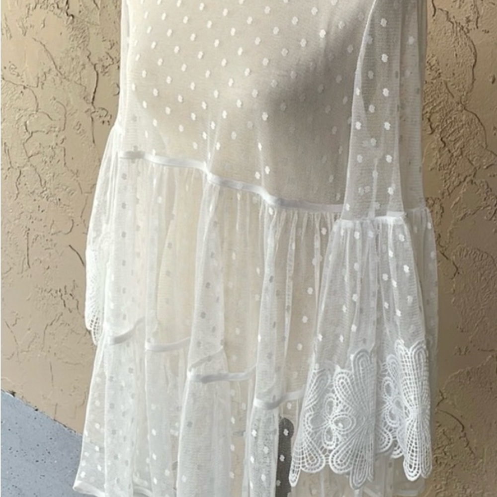Chic Sheer Polka Dot tunic or cover up